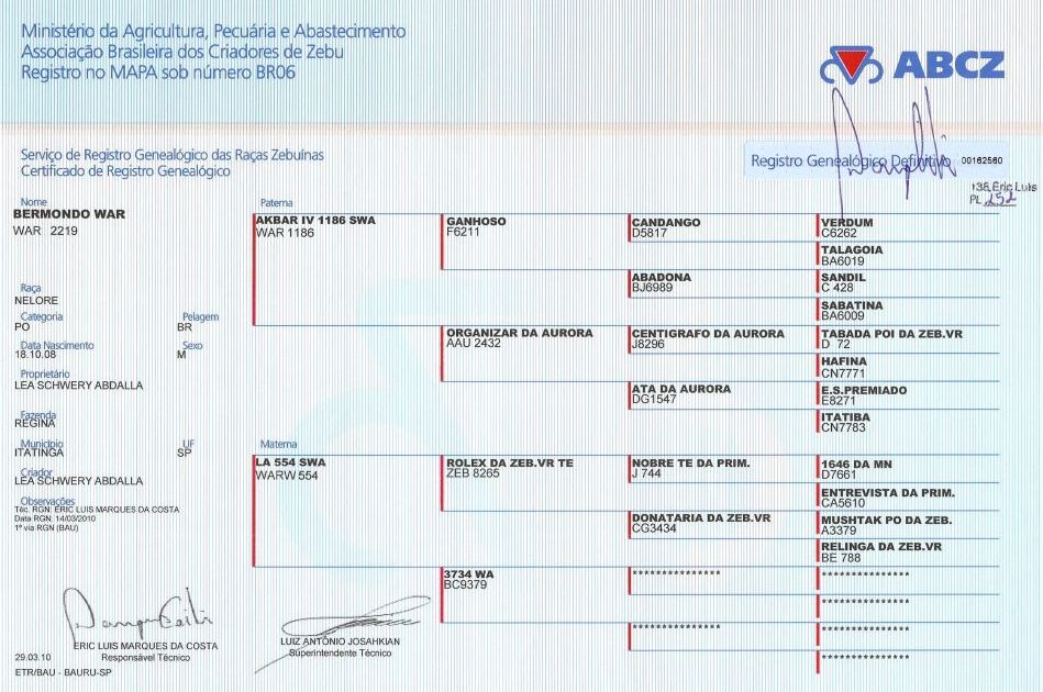 Genealogia