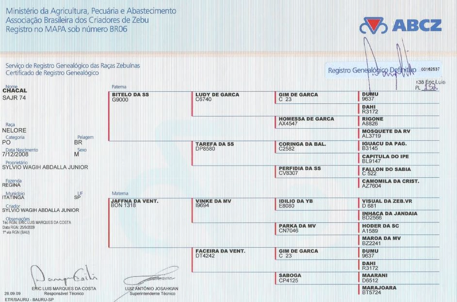 Genealogia