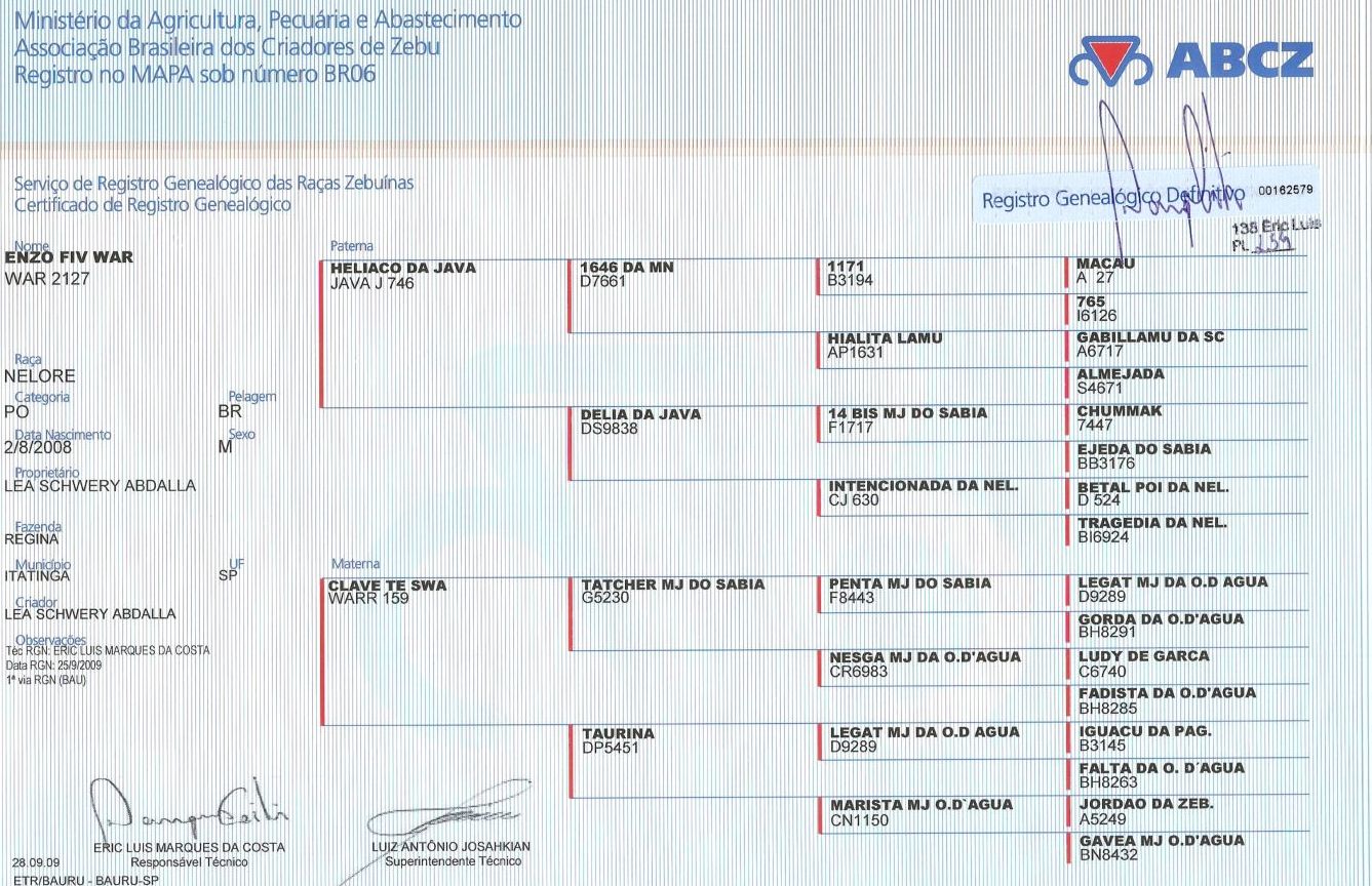 Genealogia